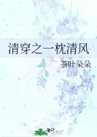清穿之一枕清风